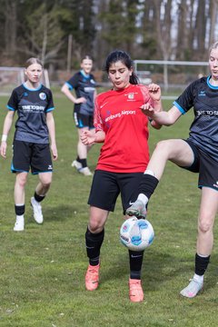Bild 302 - wBJ VfL Pinneberg - Waldd�rfer SV : Ergebnis: 5:0